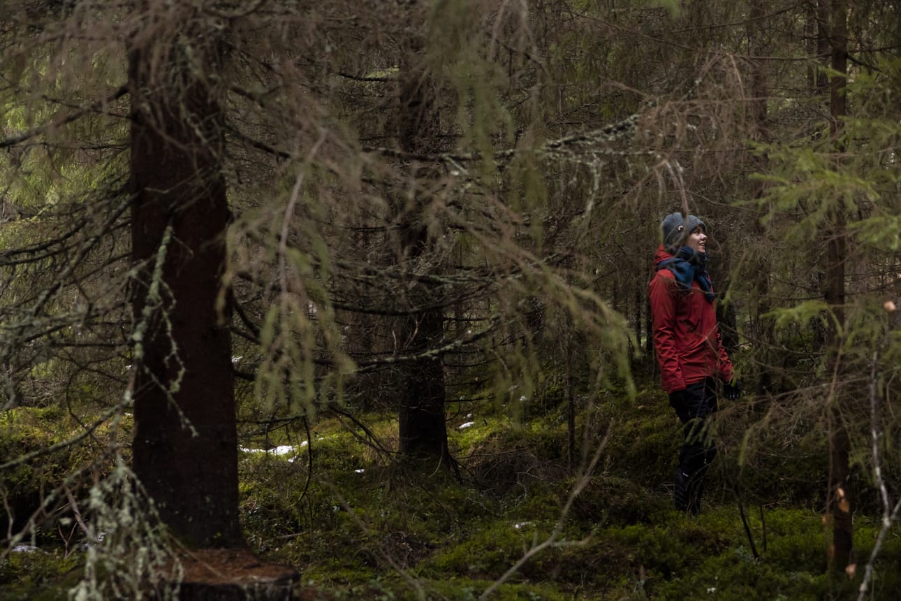 Samaa puustoa voi Katri Kurkelan mielestä katsoa monin eri silmin: metsästyssilmin, metsänhoitosilmin ja ympäristösilmin.