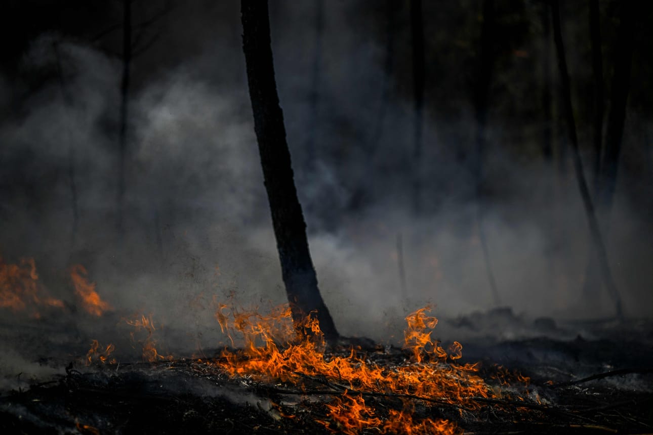 Maastopalo polttaa metsää Carrascalin kylän lähellä Portugalissa. LEHTIKUVA / AFP