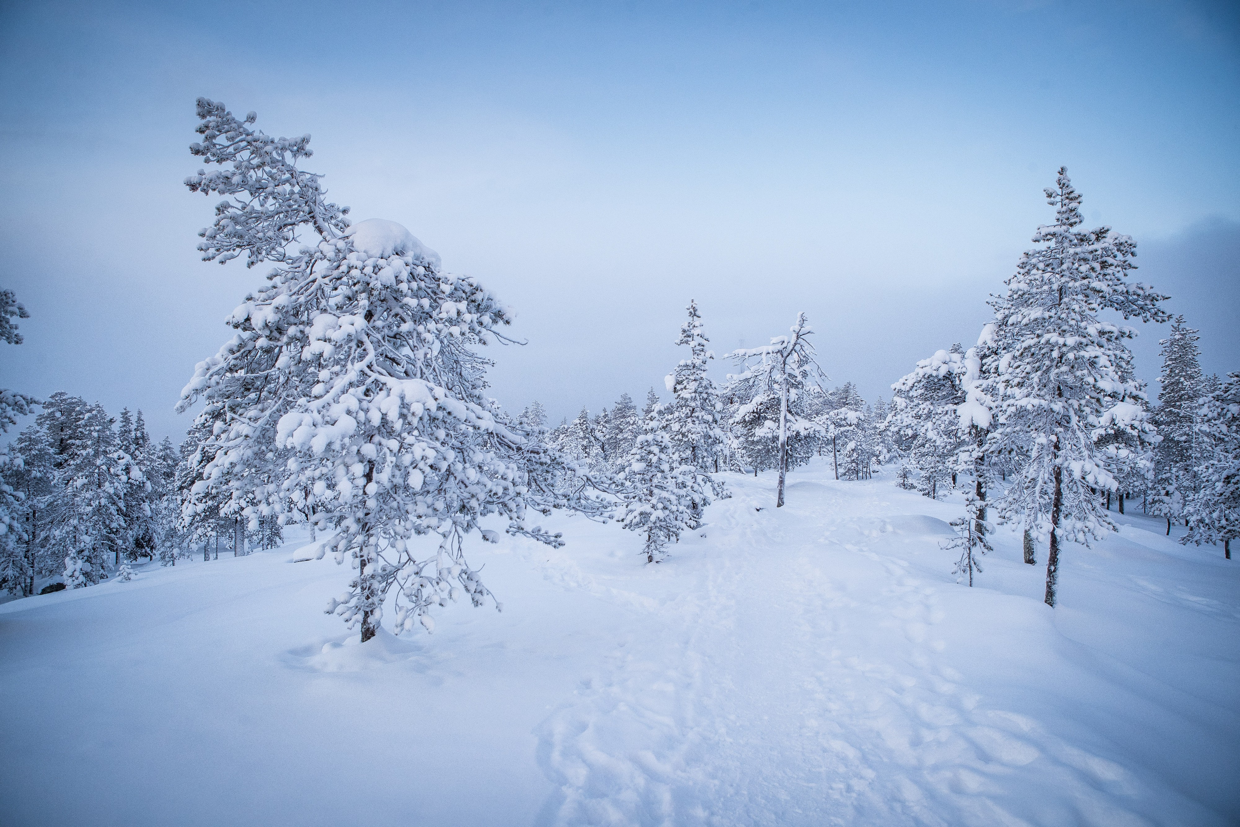 Etsijät ovat käyneet läpi laajan alueen Ounasvaaralla. Kadonnutta ei ole löydetty.