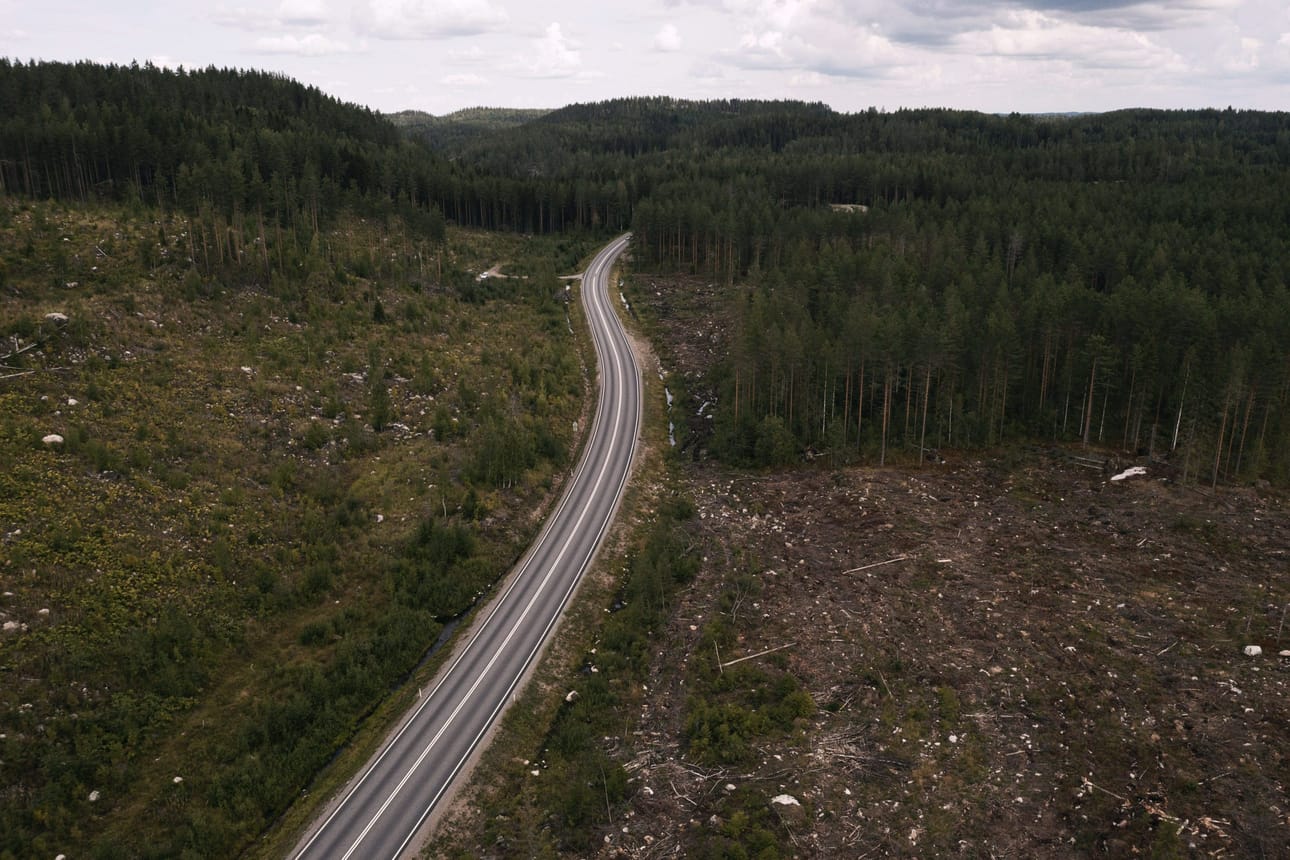 Kotimaisen puun lisääntyvä käyttö saattaa romuttaa hallituksen ilmastolakiin kirjatut tavoitteet. LEHTIKUVA / Roni Rekomaa