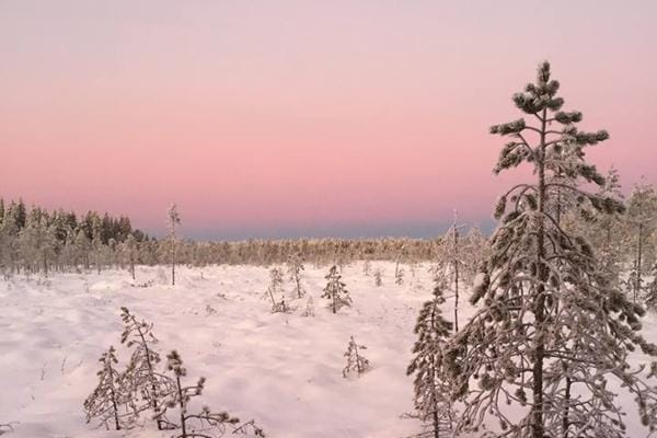 Saunasuo Soinissa hempeimmillään. KUVA: TIINA SILVONEN