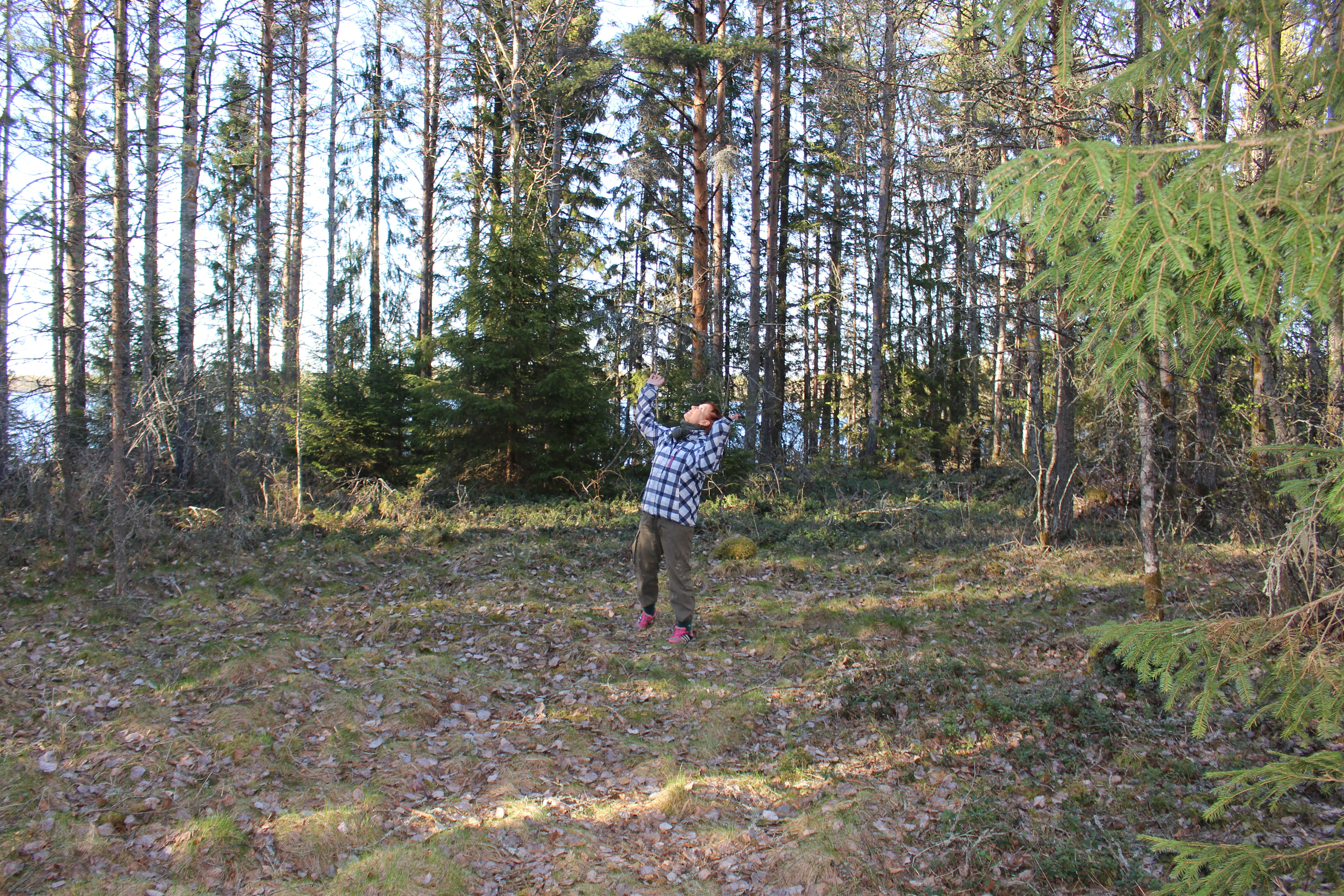 Rita Porkka esittelee tulevan tapahtuma-areenan paikkaa. Hauska olisi tietää, mitä puustosta vapaassa aukkokohdassa on aikoinaan ollut. 