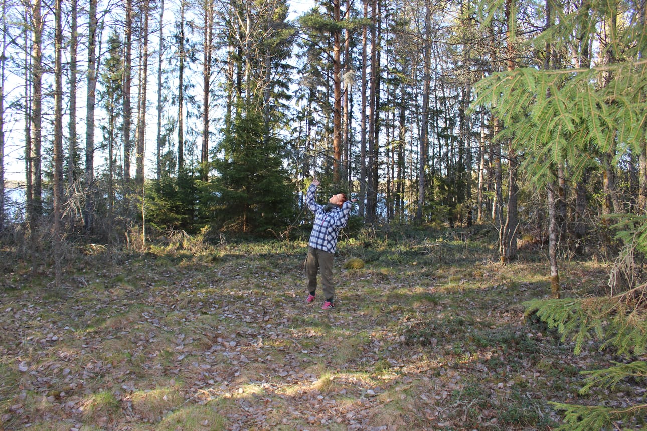 Rita Porkka esittelee tulevan tapahtuma-areenan paikkaa. Hauska olisi tietää, mitä puustosta vapaassa aukkokohdassa on aikoinaan ollut.