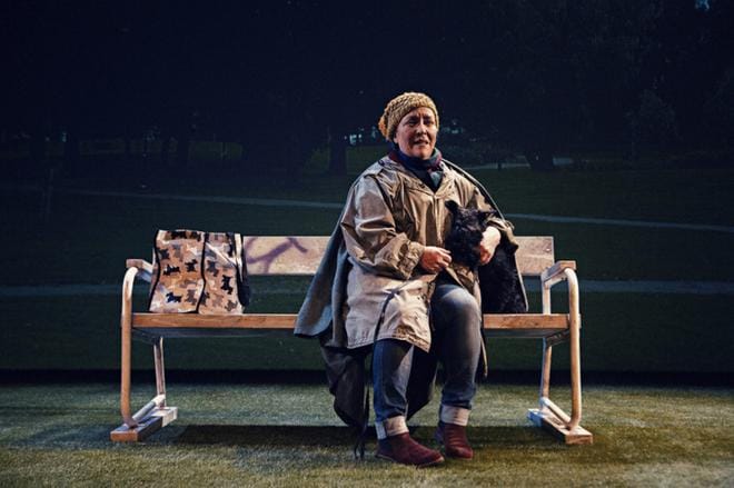 Wasa Teaterin Hundliv-monologi tuo parrasvaloihin yleensä syrjässä seisovan Evan (Carola Sarén). Lavalla nähdään myös Sarénin oma Donna-koira. KUVA: FRANK A UNGER