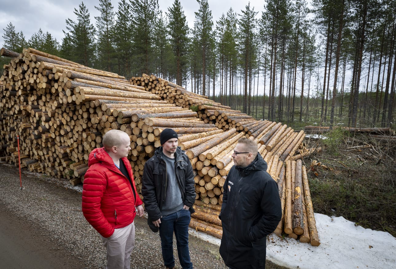 Googlen tontilta kaadetaan parhaillaan metsää datakeskuksen tieltä. Samuel Lakkala (vas.) ja Pekka Tervonen (oik.) Oulun yliopistolta vetävät Muhos Biopark -hanketta, jossa rakennetaan teollista keskittymää datakeskuksen ympärille. Juuso Kivijakola on hankkeessa kunnan edustajana.