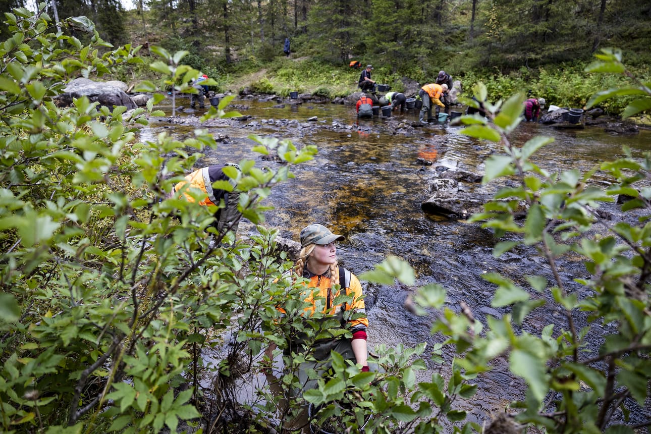 Hukkajoella kunnostettiin ylityspaikkaa raakkutuhon jälkeen. Kuva elokuulta 2024.