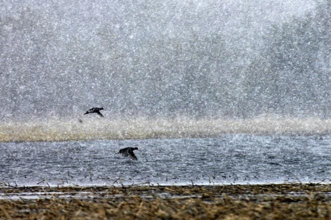 Lähipäivien säät ovat oikukkaita ja niiden ennustaminen on vaikeaa. Sekametelisoppaan on heitetty vettä, räntää, lunta ja puuskatuulia. Arkistokuva.