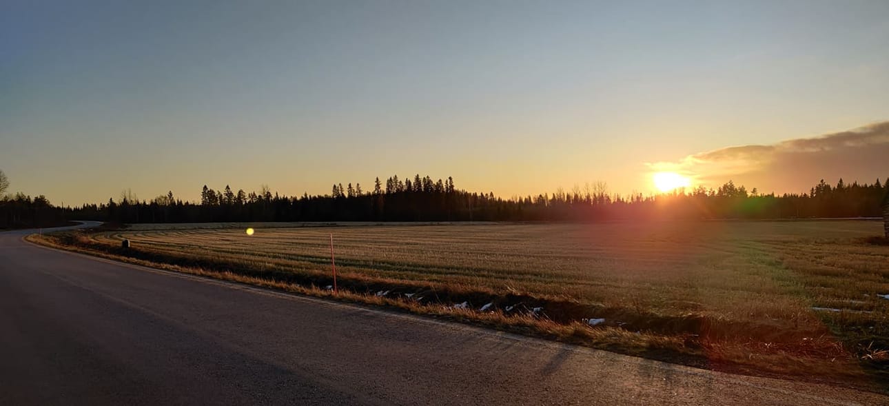 Tammikuun 9. päivänä Pyhäjoen Vihannintien varren pellot olivat näin paljaana lumesta.