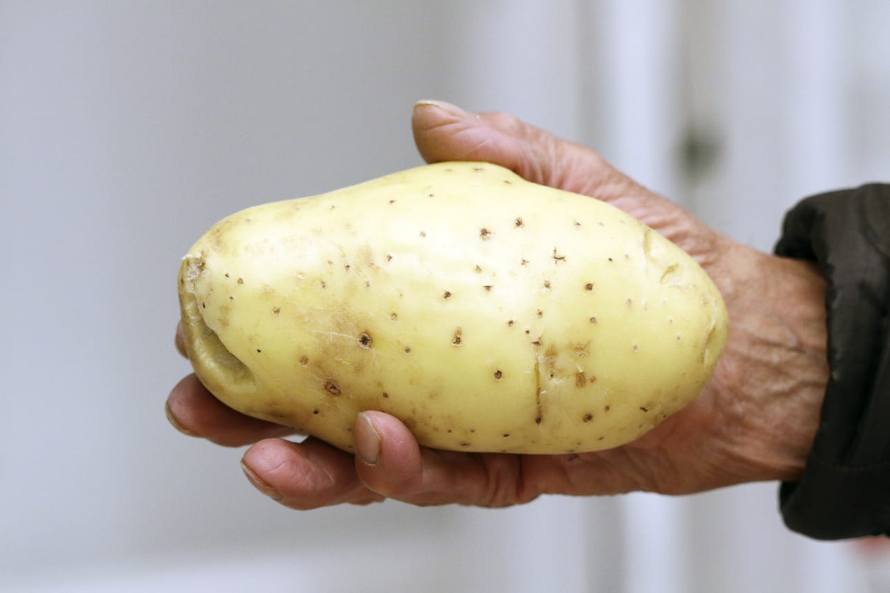 Tämä peruna painaa 550 grammaa.