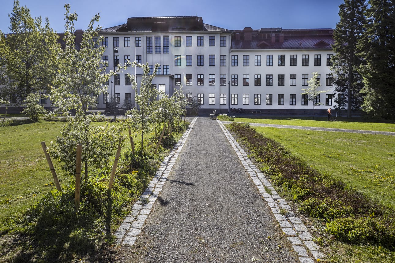Oysin Peltolan psykiatrisen sairaalan pysäköintialueella siirrytään talvikauden 35 euron lämmitysmaksusta viiden euron kuukausimaksu. Kuvituskuva.