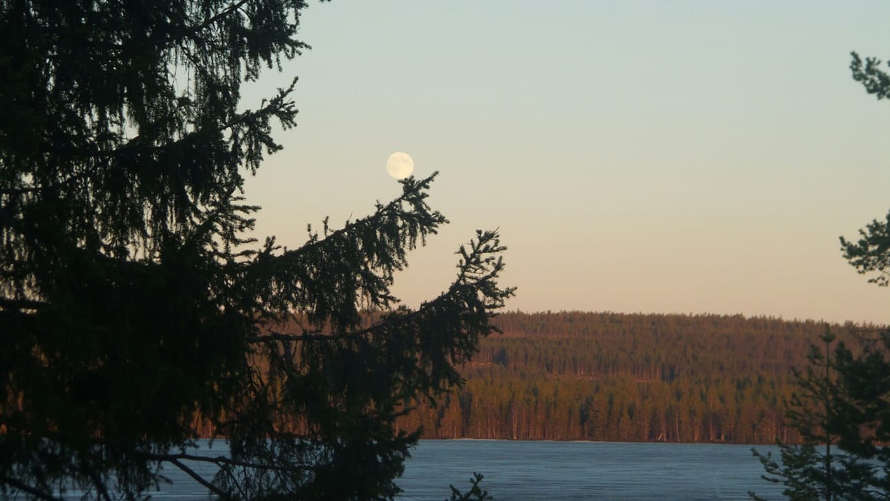 Kesäkuun 8: s päivä. Täysikuu. Posio Ylikitka