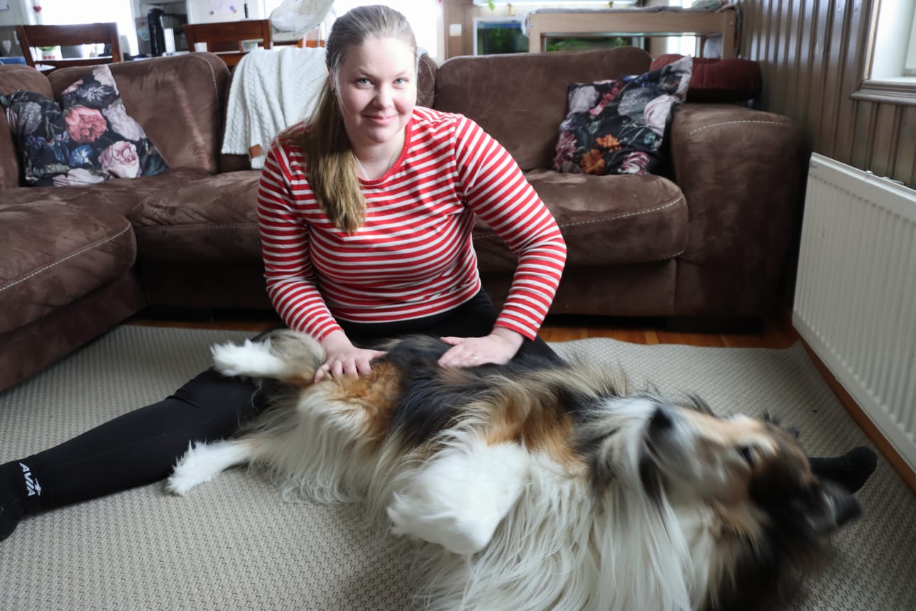 Suvi Vuorenmaan oma collie Nippe pääsee usein hierotavaksi.