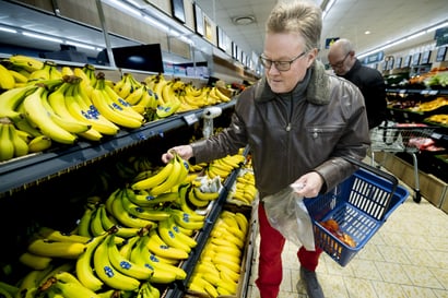 Oululaisten banaanit eivät kypsy Panamassa, vaan Vantaalla – Kerran Satotukun banaanien joukkoon piilotettu kokaiini päätyi marketiin asti