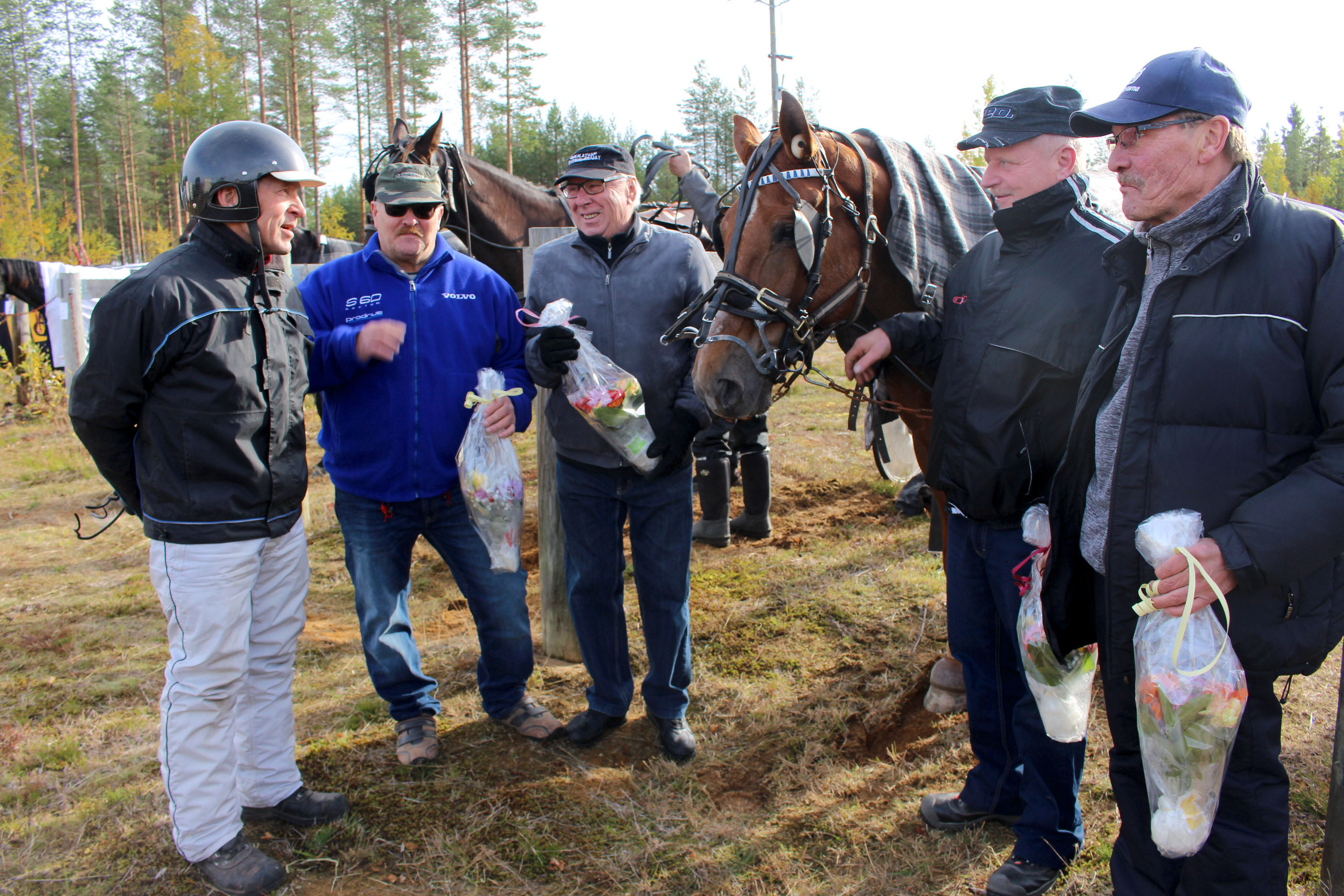 Vuosikymmenet Siikalatvan hevosurheilijoiden aktiivisiin talkoolaisiin ja toimijoihin kuuluneet Tapio Keskitalo, Kari Kopola, Reino Turunen, Eero Matikainen ja Timo Hankonen muistelivat seuran ja radan historiaa Keskitalon kasvattaman ja omistaman Koskelan Helemin kupeella.