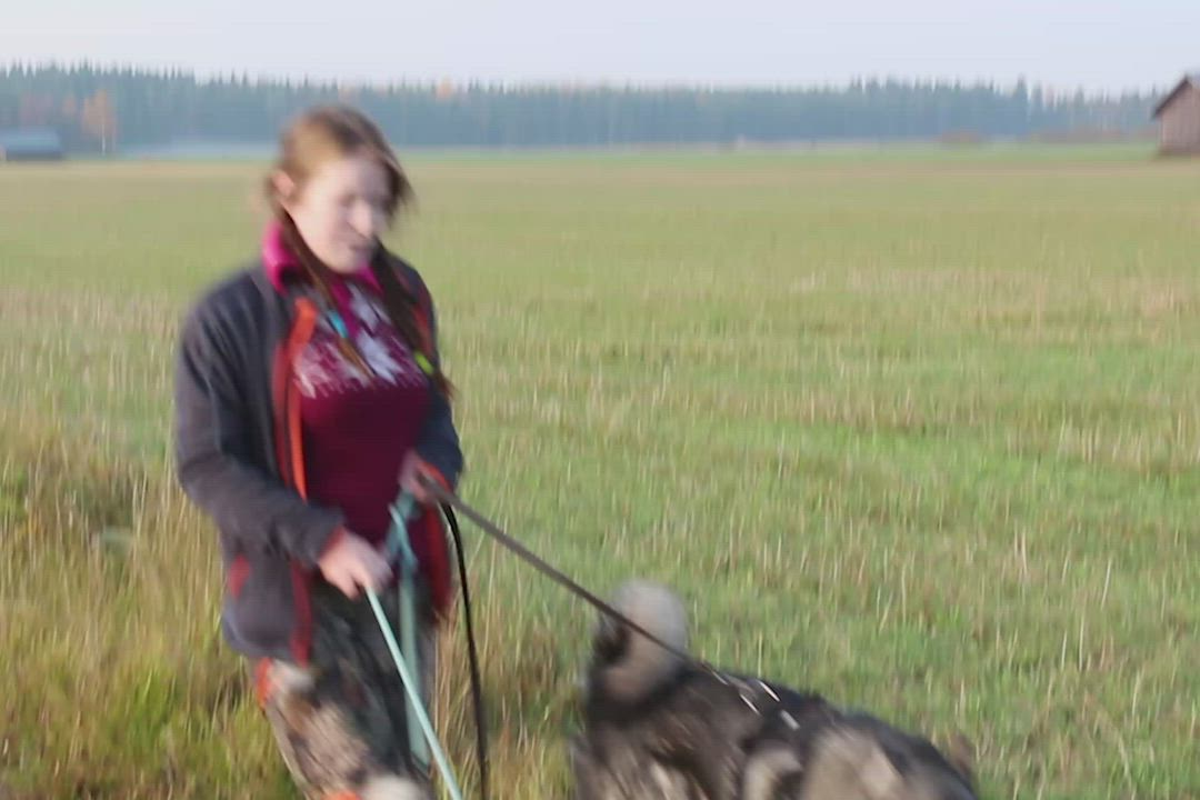 Katso video: Luomajoki lähtee hirvenpyyntiin lauantaina Pontson kanssa