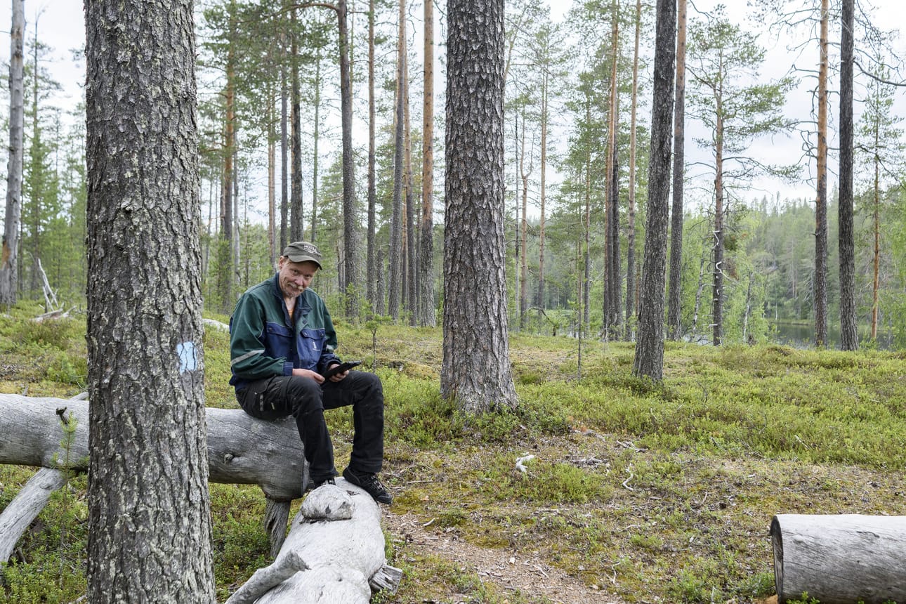 Aki Vanhalan oma suosikkipaikka Kattaisenpolun reitillä on kivikautisen asuinpaikan pohja Mustaperän rannalla. Kelohirsien takaa alkaa neljäntoista metrin pituinen painanto.