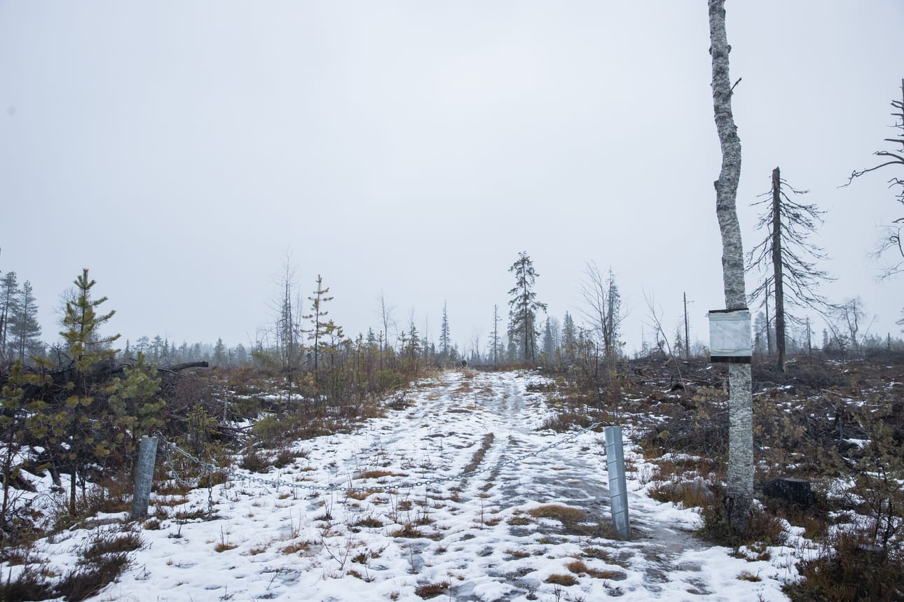 Ryötingintieltä lähtevä ajoura kohti Halosenvaaraa on suljettu kettinkipuomilla.