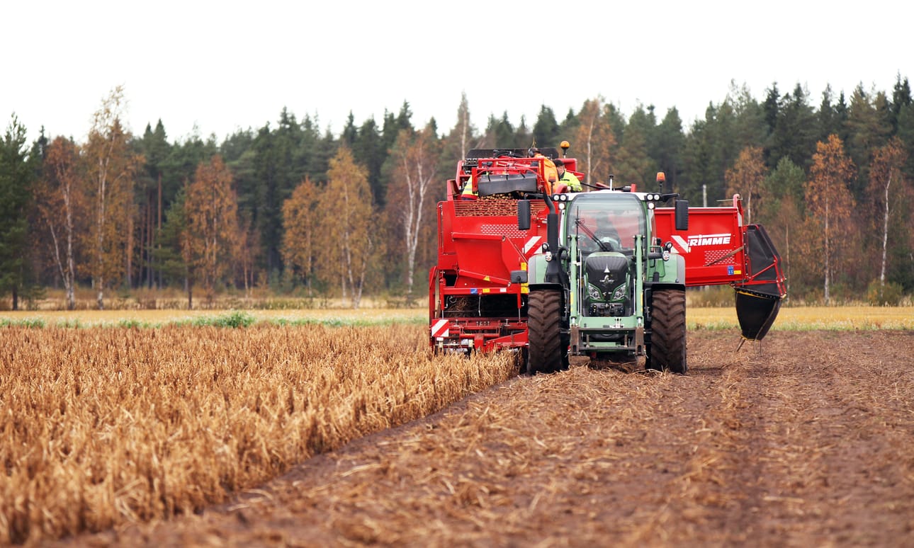 Tyrnäväläiset Antti Mannermaa, Pekka Pehkonen ja Elisa Ikola ovat jo konkareita perunannostossa. – Silmiä ei voi irroittaa perunoista hetkeksikään, kolmikko sanoo.