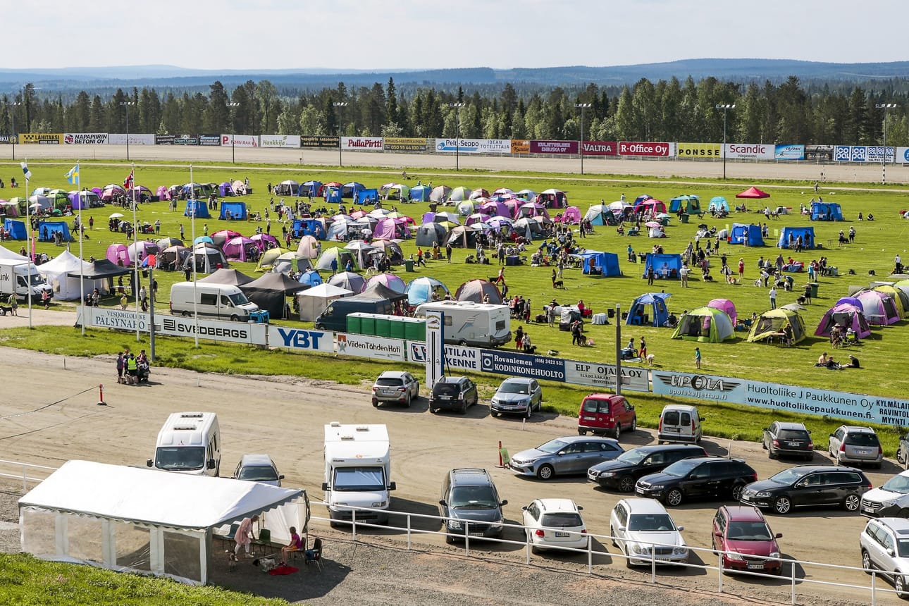 Mäntyvaaran raviradan nurmialue toimii hyvin koiranäyttelyn areenana.