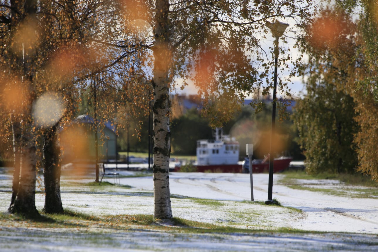 Vuonna 2020 ensilumi satoi Raaheen 9. lokakuuta. Tänä vuonna sitä odotellaan edelleen.