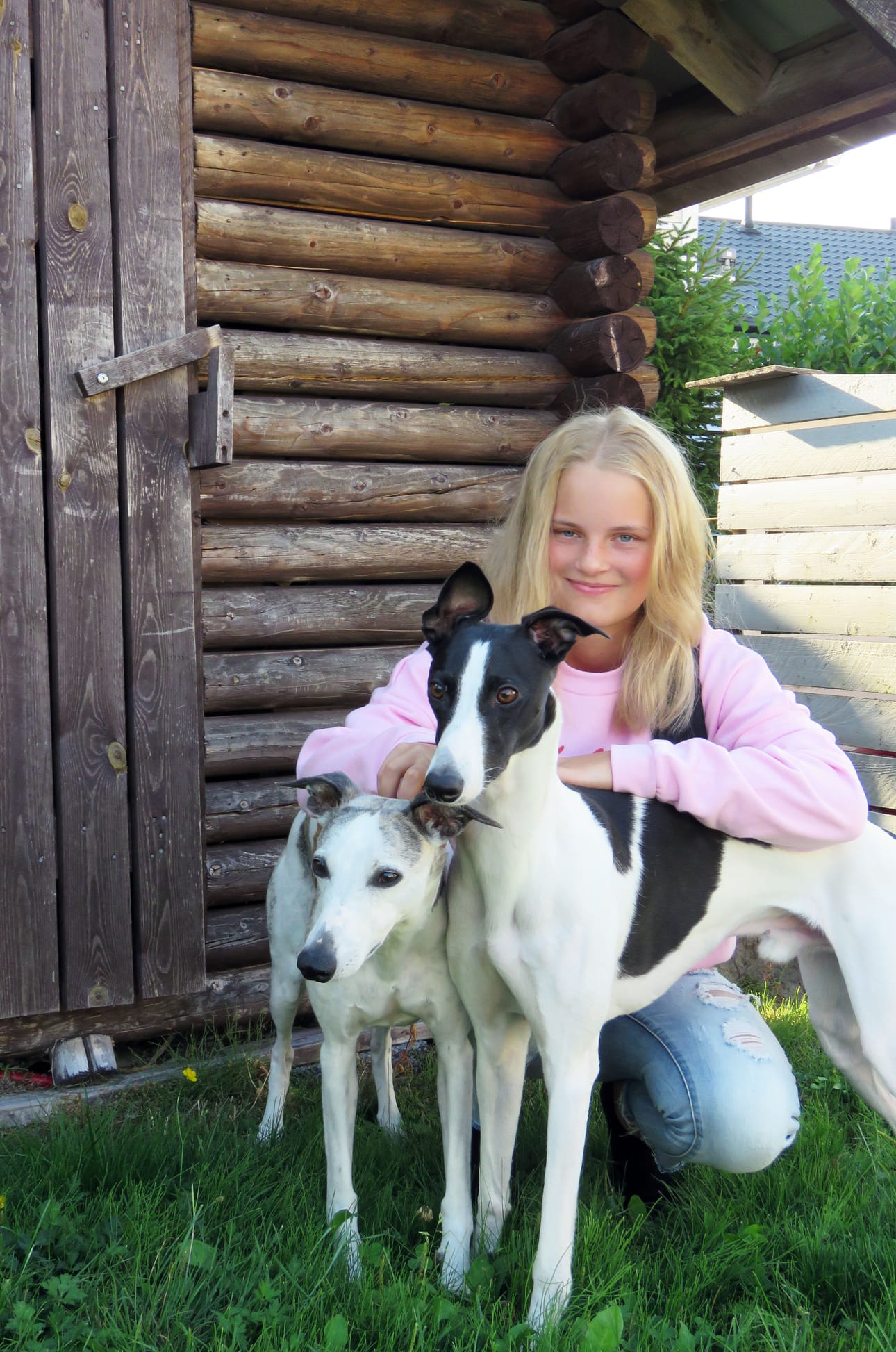Isla Penttilä, 12, Lupu- ja Iikka-koiriensa kanssa. Ensi viikolla yläasteen aloitta Penttilä ei turhaan jännitä.