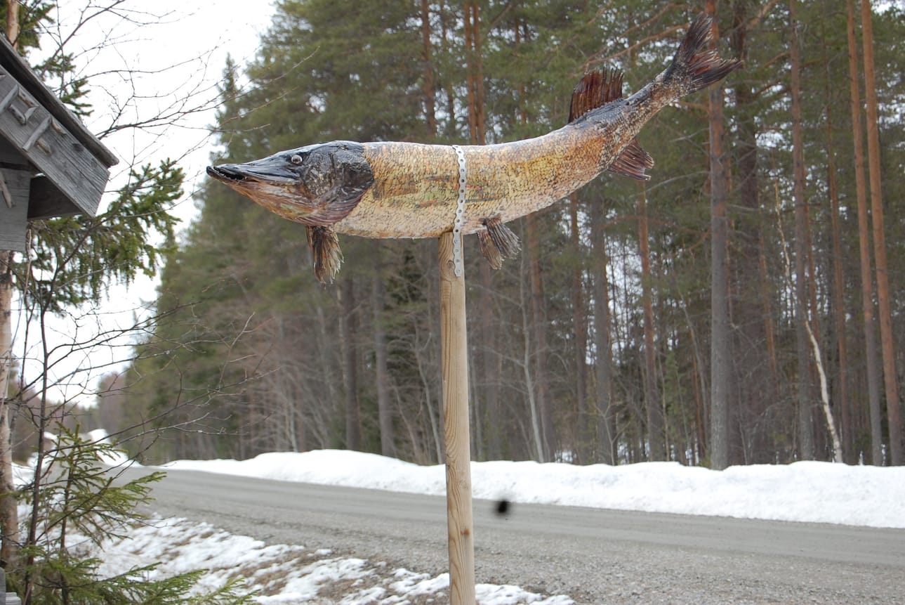 Rantaneuvoksen tienviitta asennettuna