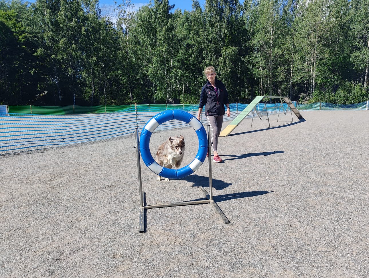 Renkaan läpi hypystä esimerkkiä näyttää seniorikoira Hulta ohjaajansa Tanja Katajiston kanssa