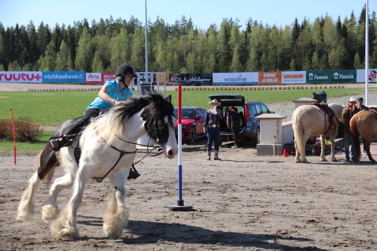 Terhi Lehtinen ja irlannincop Shining Oscar näyttivät yleisölle, mitä lännenratsastus pitää sisällään.