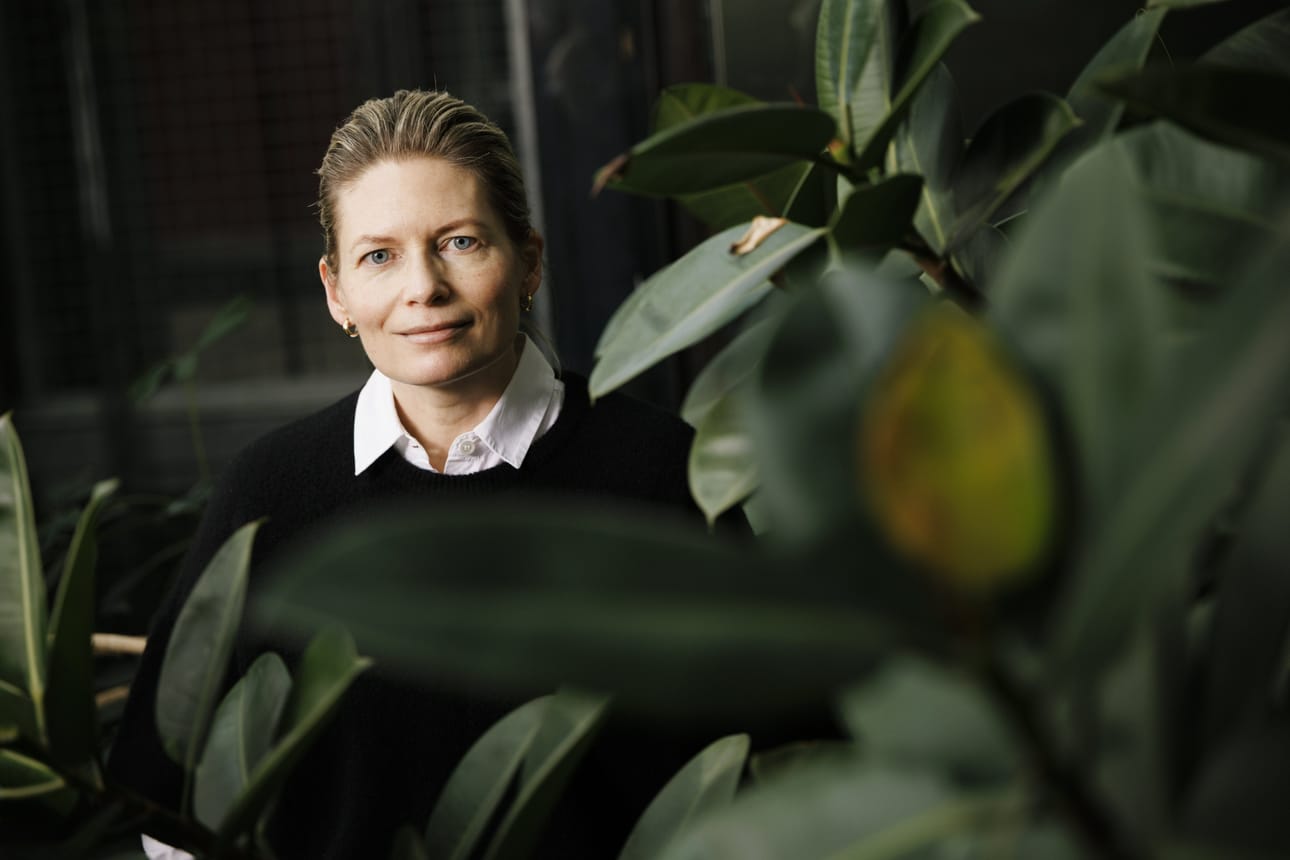 Professori Anna-Liisa Laineen mukaan seuralaiskasvilajeja voi hyvin kokeilla omalla pellolla, koska riskejä ei ole. LEHTIKUVA / Seppo Samuli