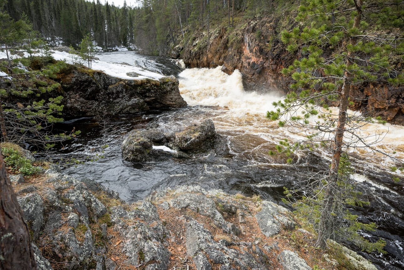 Kiutaköngäs on komeimmillaan. Poluilla voi vielä olla liukasta.