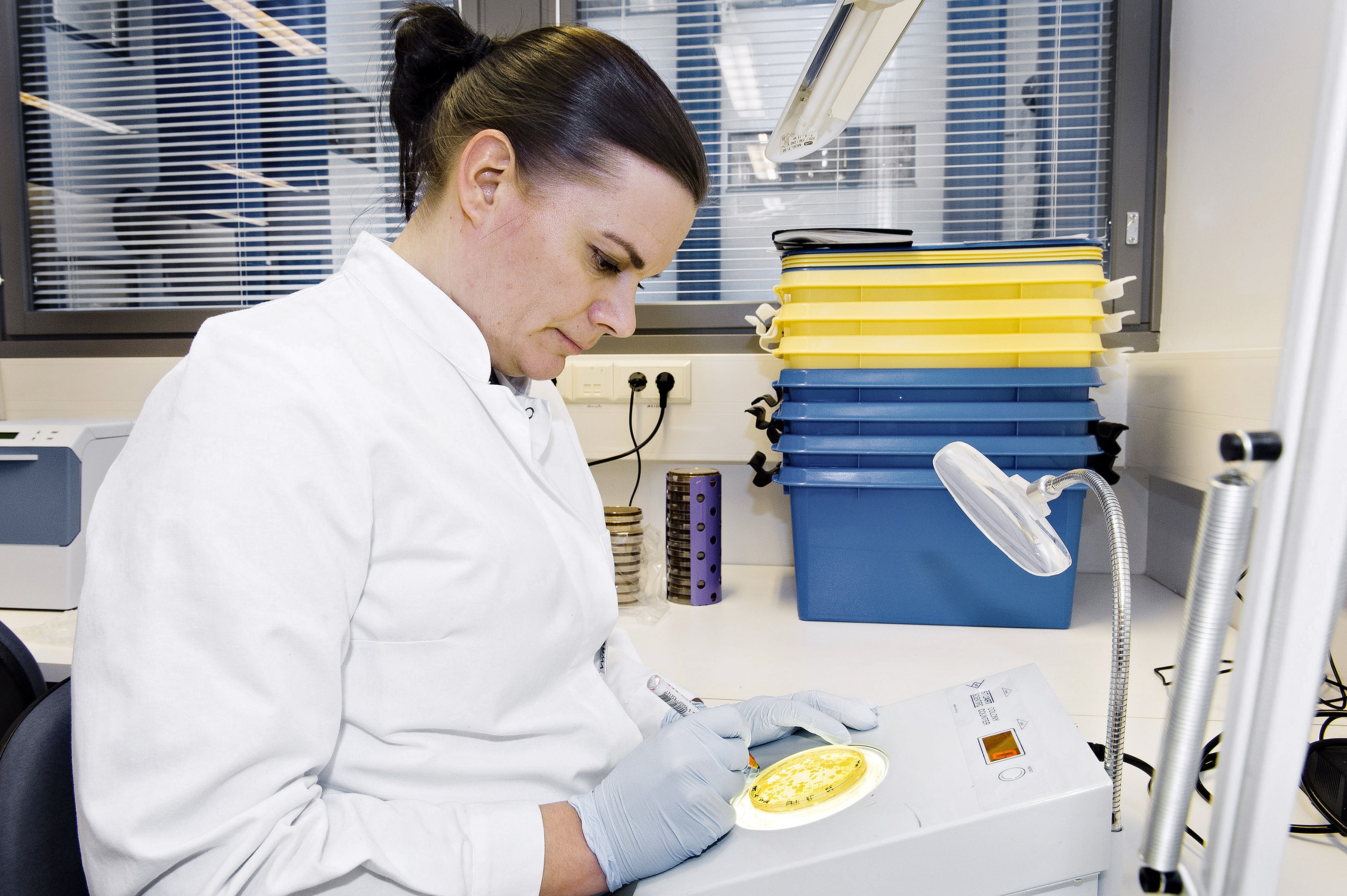 Laboratoriopäällikkö Satu Tölkkö tutkii huonesuihkunäytettä Turun yliopistossa.