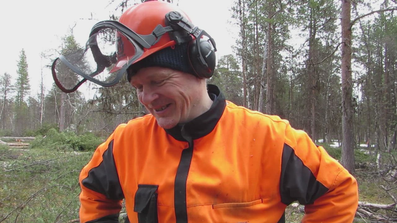 Pois alta puut ja kävyt