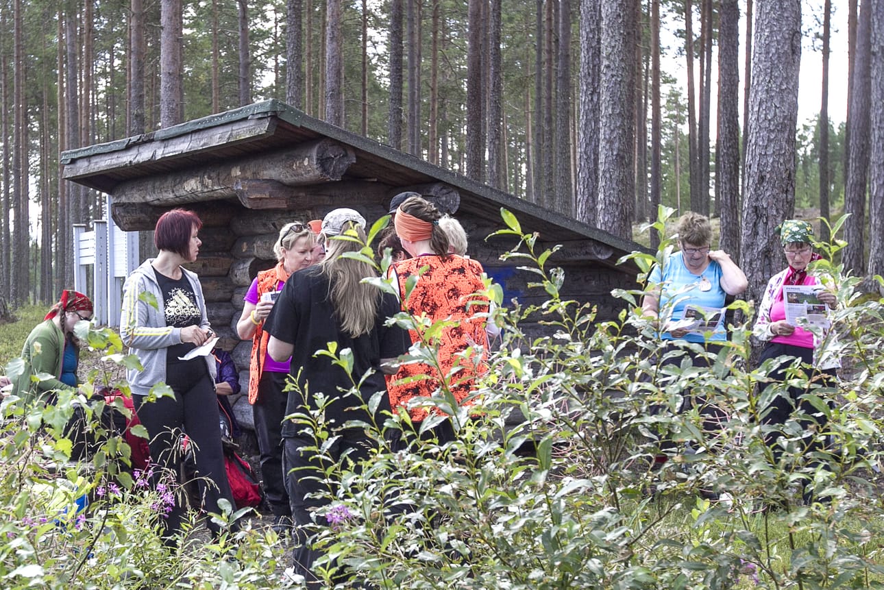 Torstaiaamuna vaeltamaan lähti 35 hengen seurue. Heistä 20 on järjestäjä PSK-aikuisopiston luontoalan opiskelijoita sekä henkilökuntaa. Asiakkaita reissussa on 15 – puolet Oulun seudulta ja puolet muualta Suomesta.