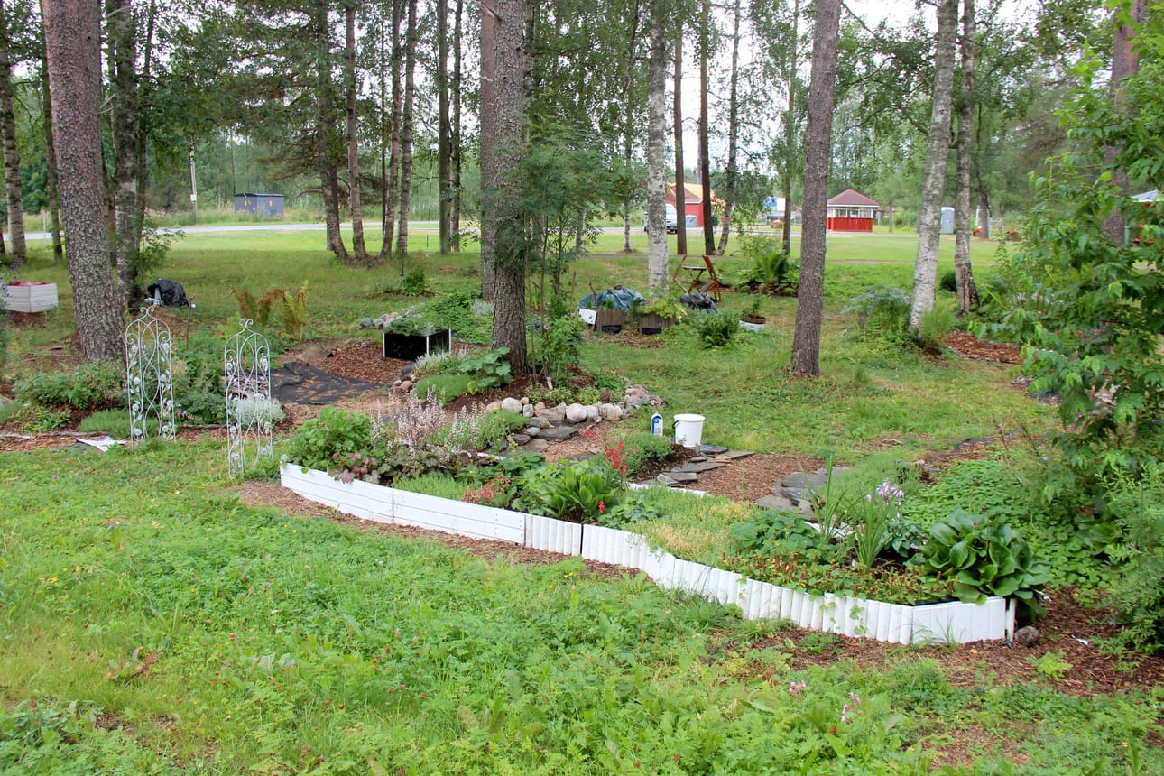 Ruusuportti johdattaa puutarhaan. Hilkka Väisäseltä ei lopu ideat vaan tila, mutta kaupungin myönnettyä maisemointirahaa, istutuksia on voinut tehdä kaupungin maan puolelle.