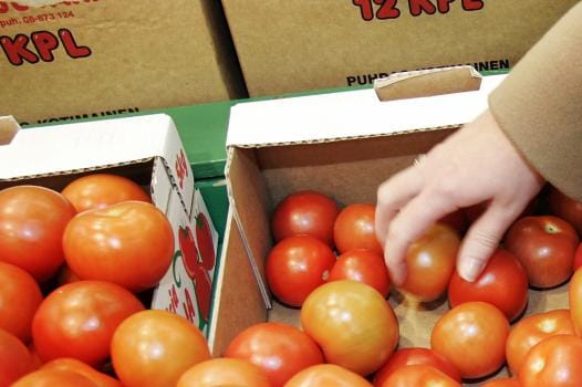 Närpiön seudulla tuotetaan suuri osa Suomen kurkuista ja tomaateista. Tuotanto on ympärivuotista, mutta ensi talveksi moni kasvihuone pannaan kylmilleen. Arkistokuva.