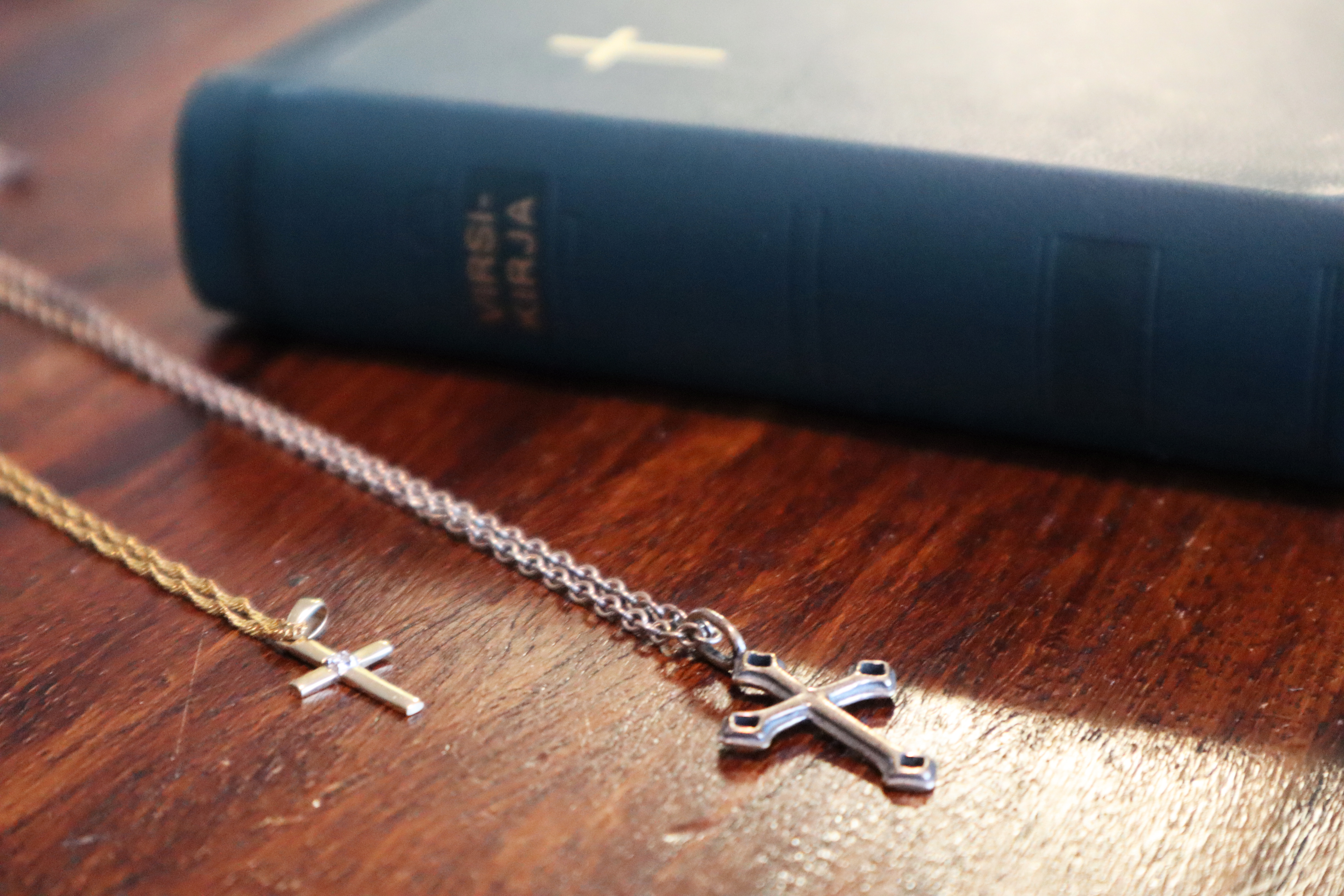 Kesärannan leirikeskuksen yhdestä mökistä löytyi sädesientä – "Palaute otettiin vakavasti ja vakavat olivat näemmä seurauksetkin"