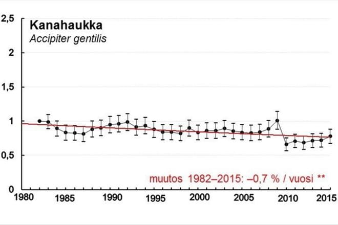 Luonnontieteellisen keskusmuseon laatiman kantaindeksin mukaan kanahaukka on taantunut vuodesta 1982 noin 25 prosenttia vuoteen 2015 mennessä. Kuva: Suomen luonnonsuojeluliiton Pohjanmaan piiri