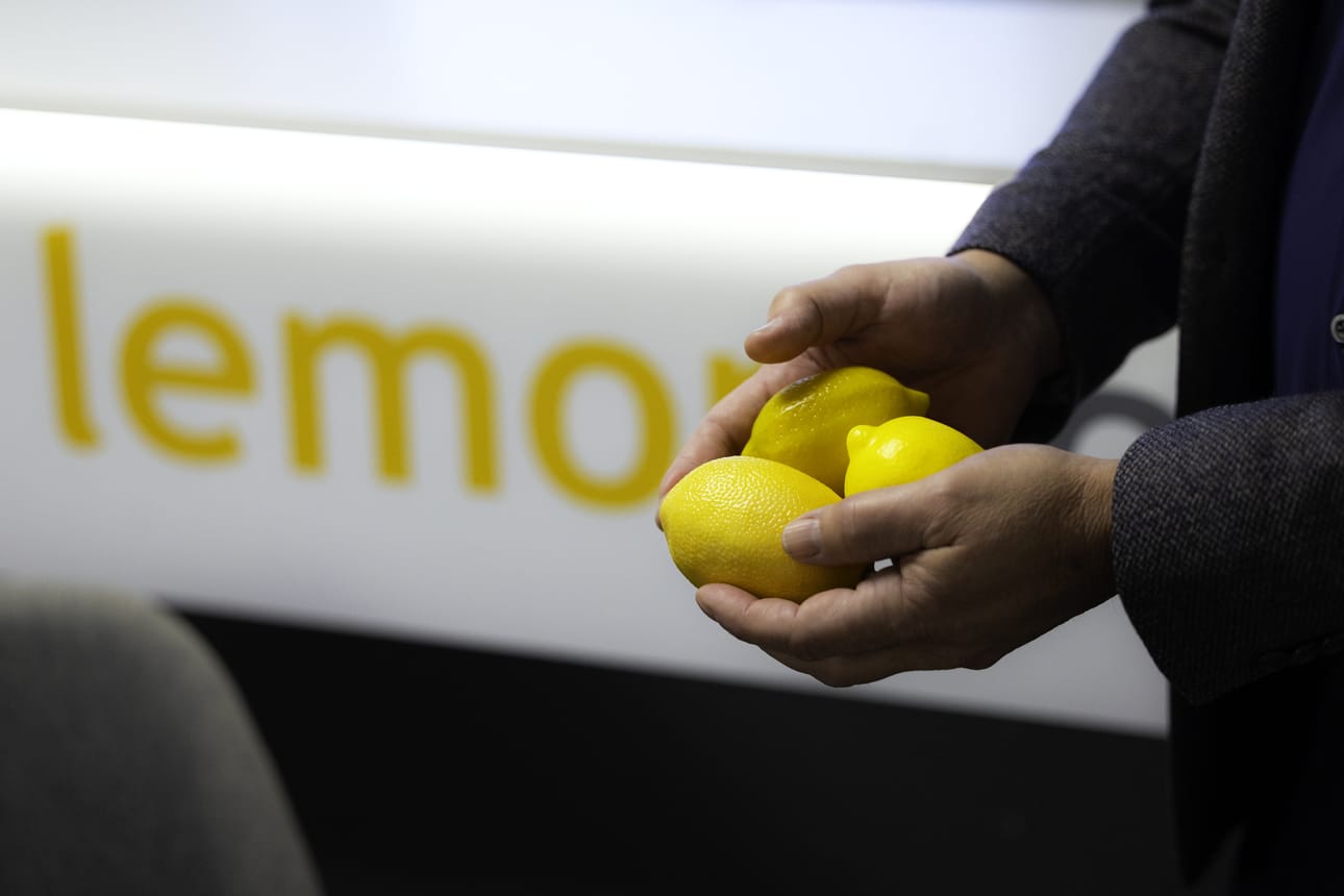 Lemonsoft on ollut yksi ohjelmistoyhtiöistä, jonka osakekurssi on romahtanut alkuvuoden aikana.