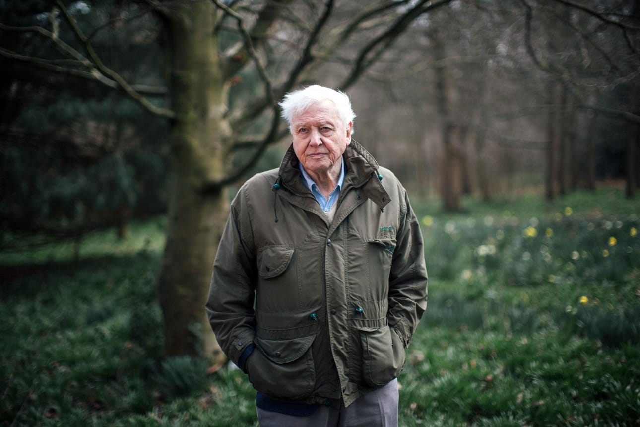 Sir David Attenborough on tunnettu ja tunnustettu luontodokumenttien vetäjä. Hänen johdollaan tutustutaan ilmastonmuutoksen vaikutuksiin.