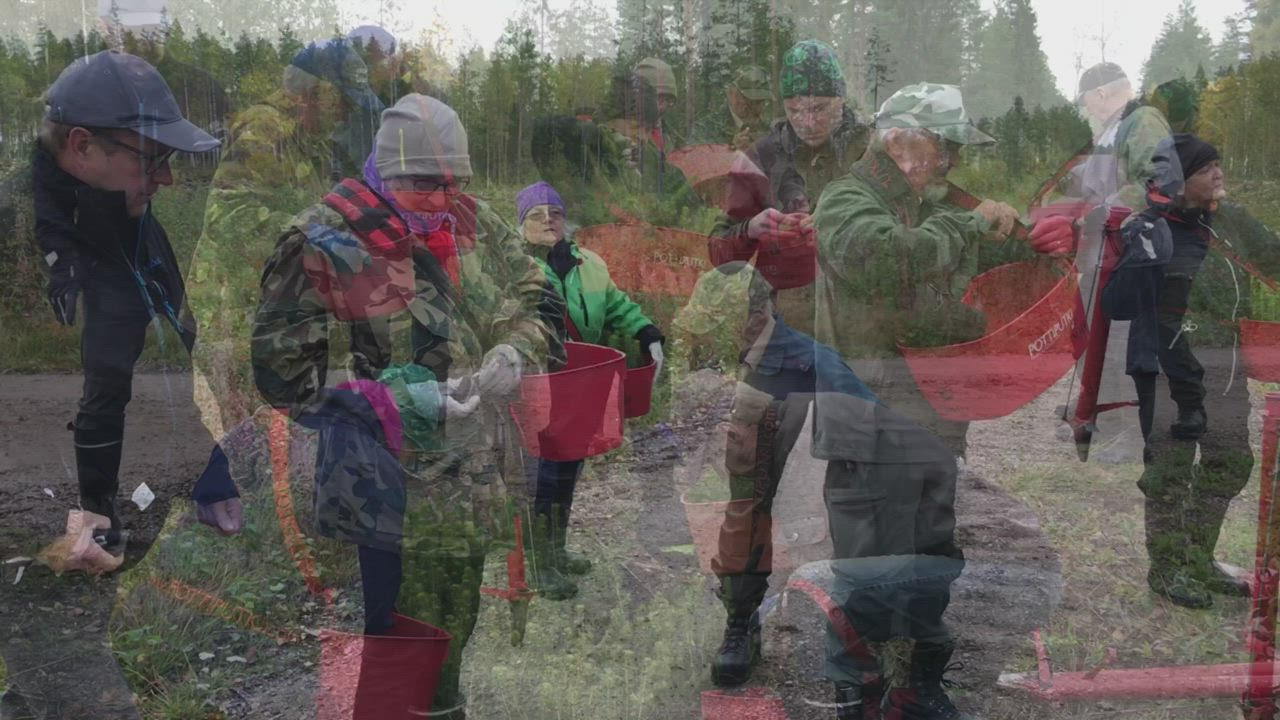 Eläkeliiton Pyhännän yhdistyksen väkeä istutti kuusentaimia
