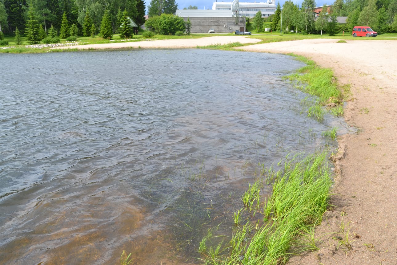 Uimaranta alkaa olla vesiruton peitossa, eikä pohjaa näy sen alta.
