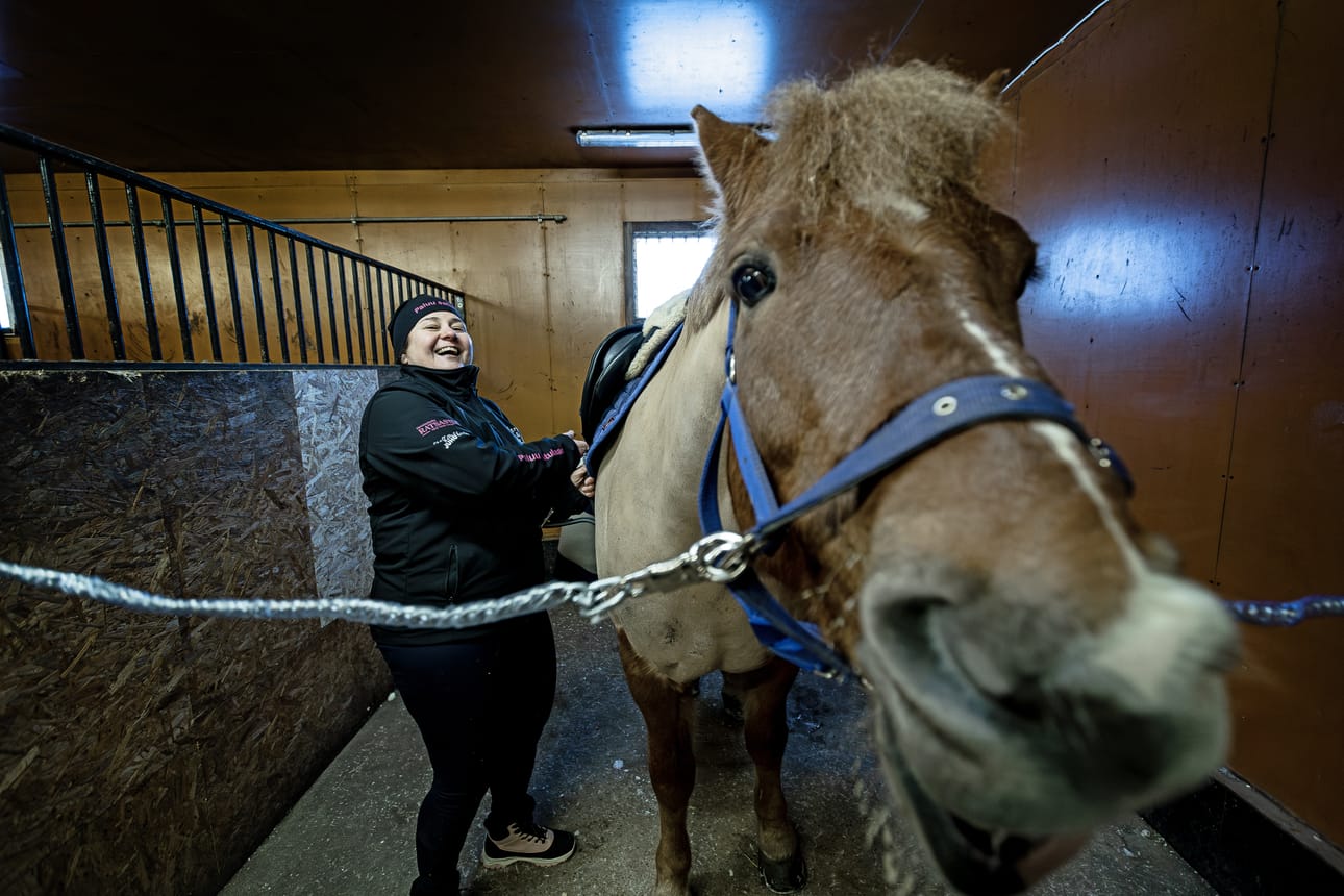 Kirppu-hevosta kiinnosti kamera, kun kuvaaja ikuisti hänet ja Fatima Mattilan potrettiin Siikajoella WP Ranch -tilalla.