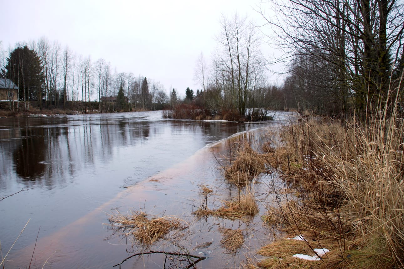 Vesisateet ovat sulattaneet Siikajokivarteen sataneita lumia niin, että vettä virtaa Siikajoessa vuolaasti. Rannan tuntumassa olevat veneet on syytä nostaa korkeammalle.