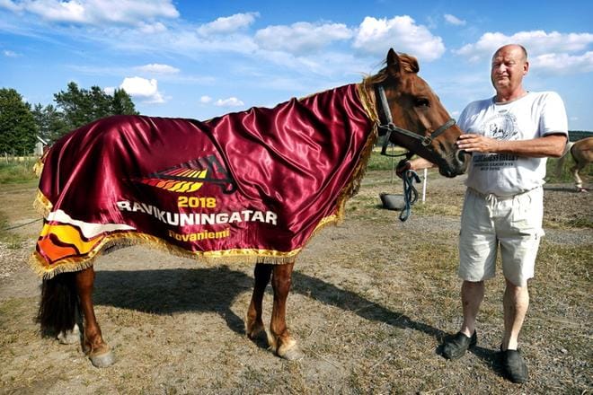 Vuoden 2018 ravikuningatar tulee Kurikasta. Akaasian kasvattaja ja omistaja Ari Oja-Nisula kuvailee Rovaniemen voittoa unelmien täyttymykseksi. KUVA: JOUKO HÄNNINEN