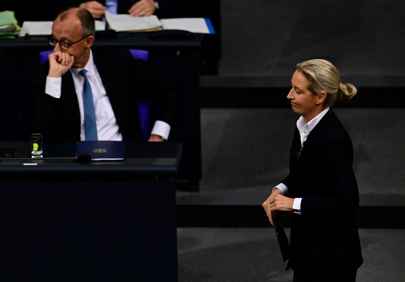 Liittokansleri Friedrich Merz ja AfD:n Alice Weidel kohtasivat liittopäivillä Berliinissä marraskuun lopulla.