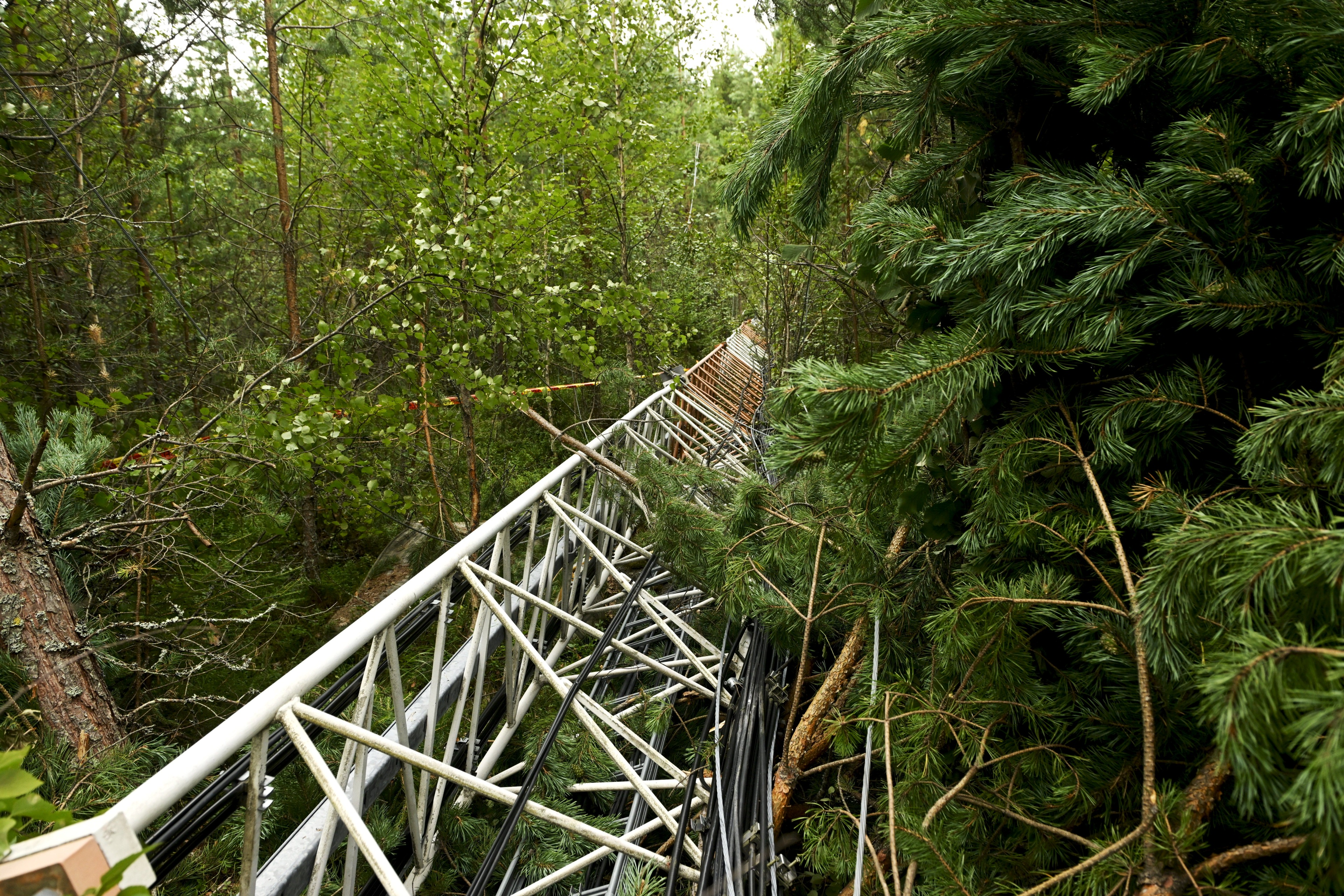 Teleoperaattori Elisan Janakkalassa kaadettu masto.
