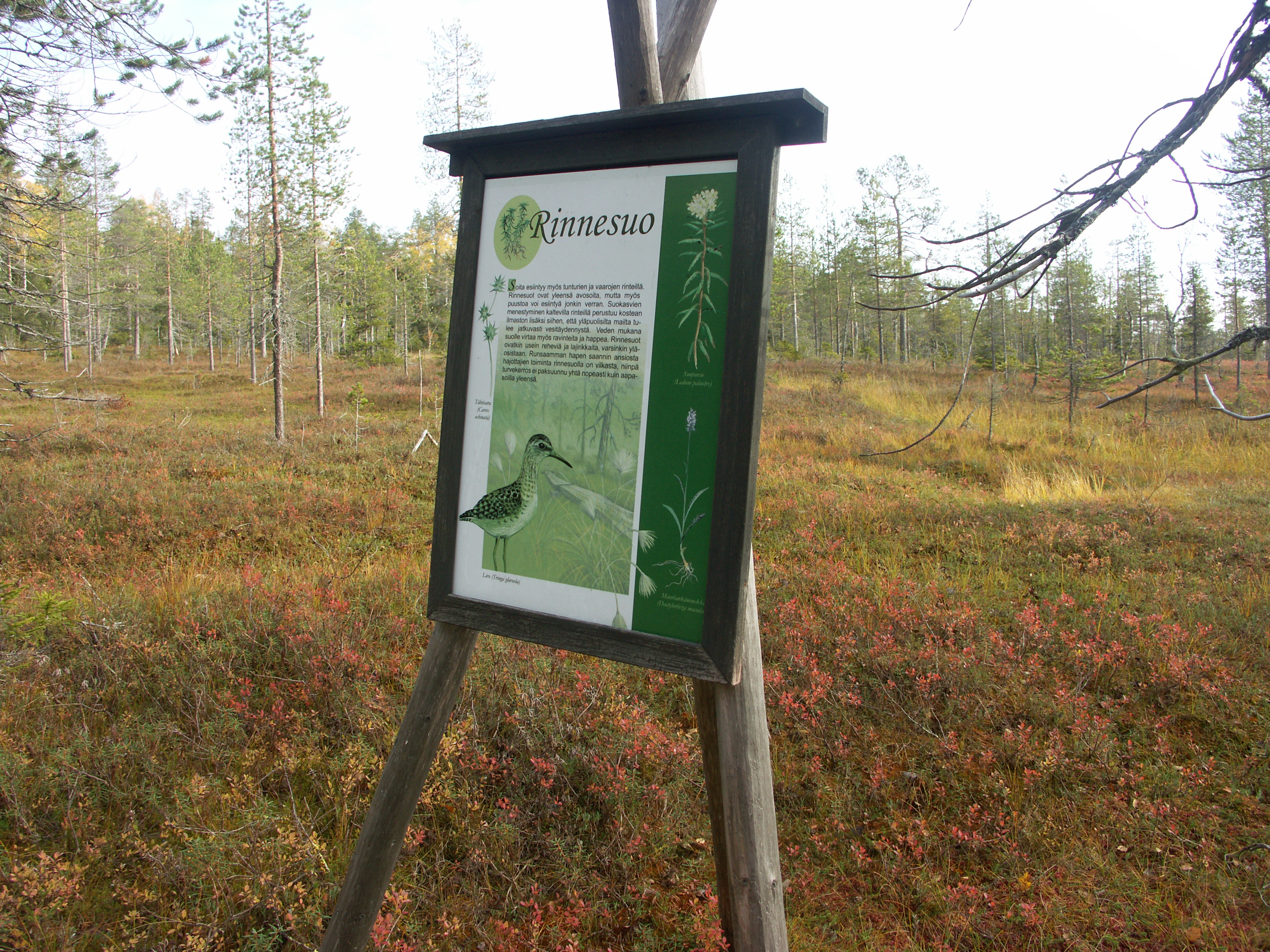 Syötteen kansallispuisto ja Iso-Syötteen retkeilyalue kuuluvat hallituksen kärkihankkeisiin. Arkistokuva.