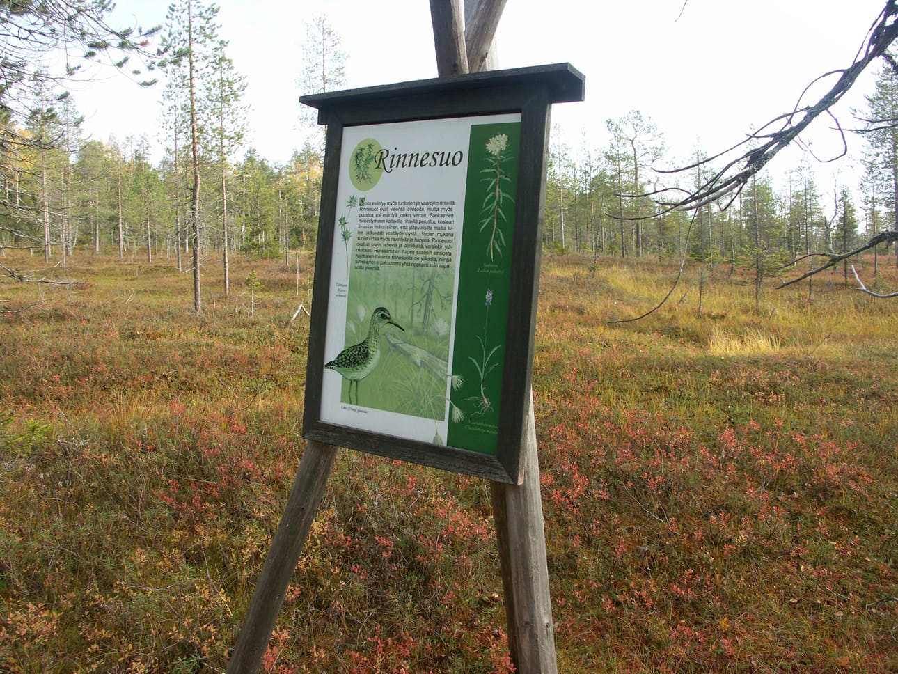 Syötteen kansallispuisto ja Iso-Syötteen retkeilyalue kuuluvat hallituksen kärkihankkeisiin. Arkistokuva.