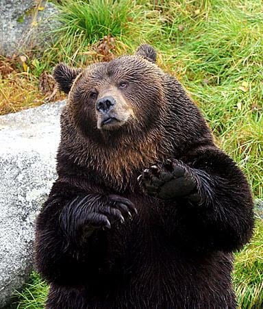 Uudistettu ampumakoe astuu voimaan maaliskuun alusta.