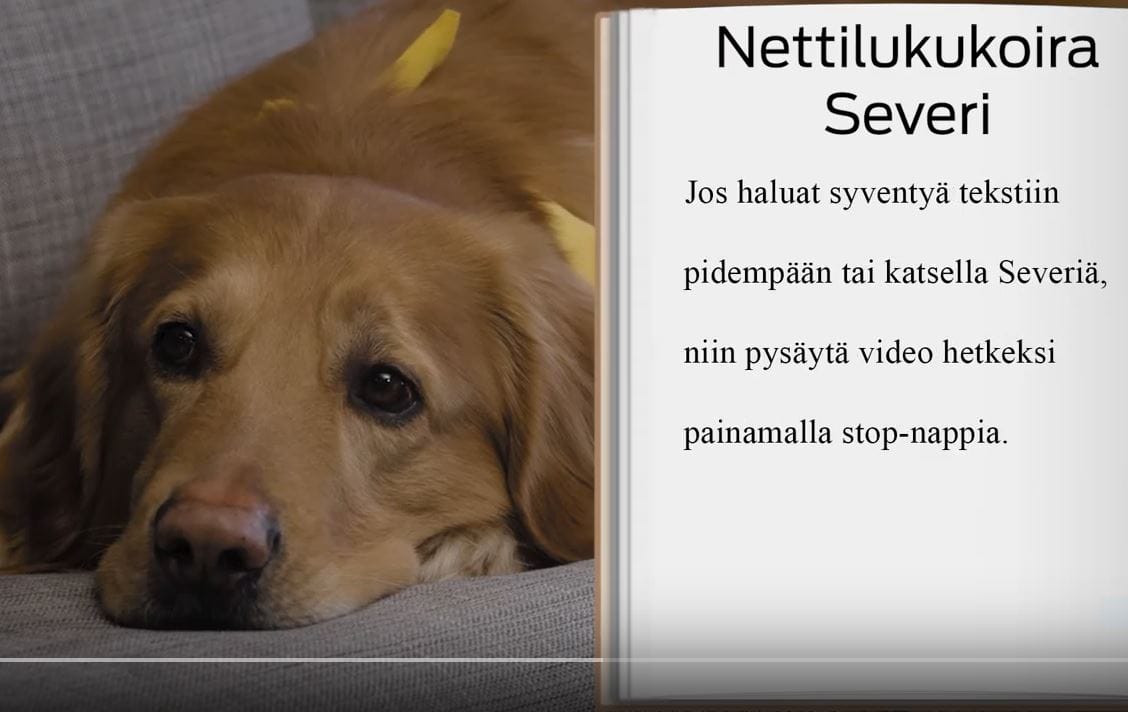 Nettilukukoira Severi kuuntelee virtuaalisesti lukijoitaan videoilla. Kuvakaappaus Kennelliiton Youtube-videolta.